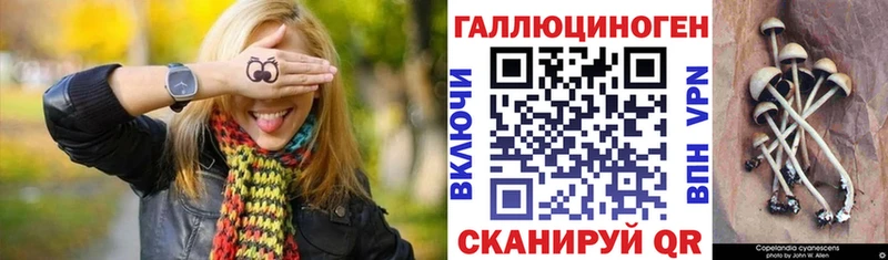 дарнет шоп  Радужный  Псилоцибиновые грибы MAGIC MUSHROOMS 